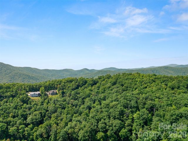 99999 Shining Rock Path 69, Horse Shoe, NC 28742