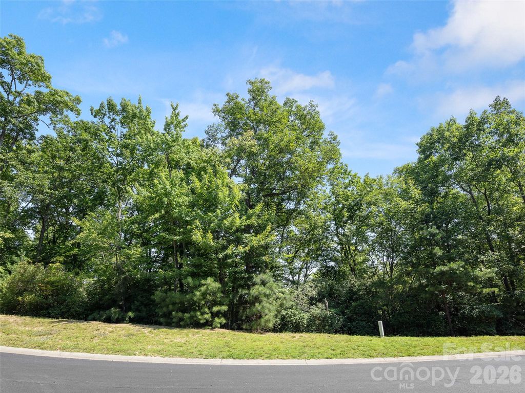 99999 Shining Rock Path 69, Horse Shoe, NC 28742