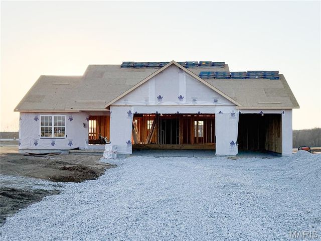 11 Andrew Court, Silex, MO 63377