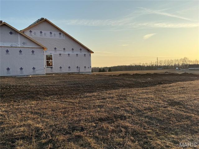 11 Andrew Court, Silex, MO 63377