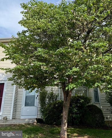 39-2 MINT TIER, Reading, PA 19606