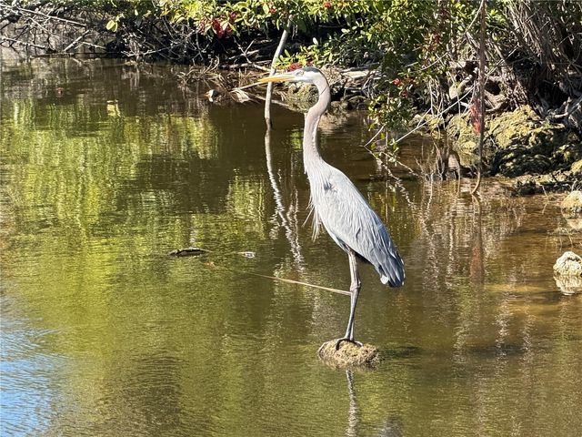 7 & 9 CHICKADEE LANE, Placida, FL 33946