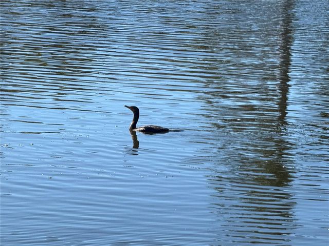 7 & 9 CHICKADEE LANE, Placida, FL 33946