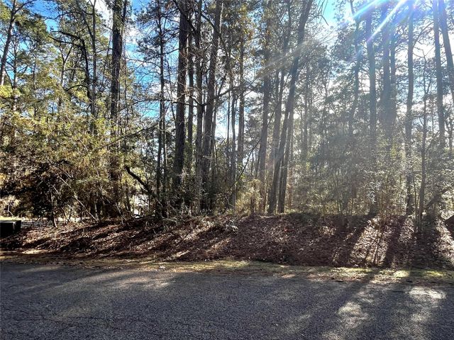 179 Green Tree Drive, Coldspring, TX 77331