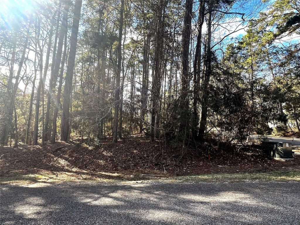 179 Green Tree Drive, Coldspring, TX 77331