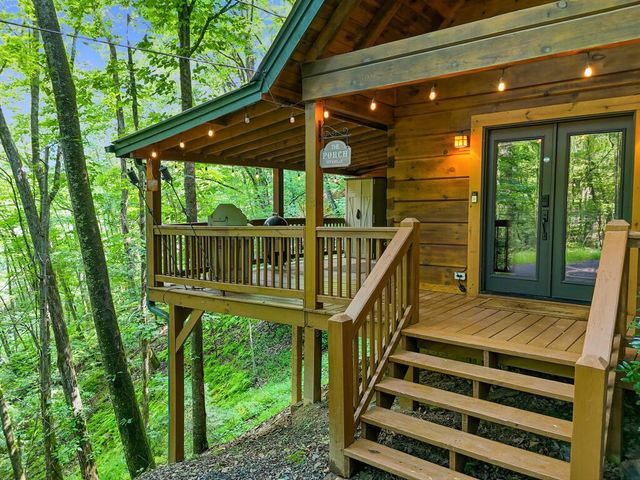 329 Laurel Ridge Drive, Blue Ridge, GA 30513