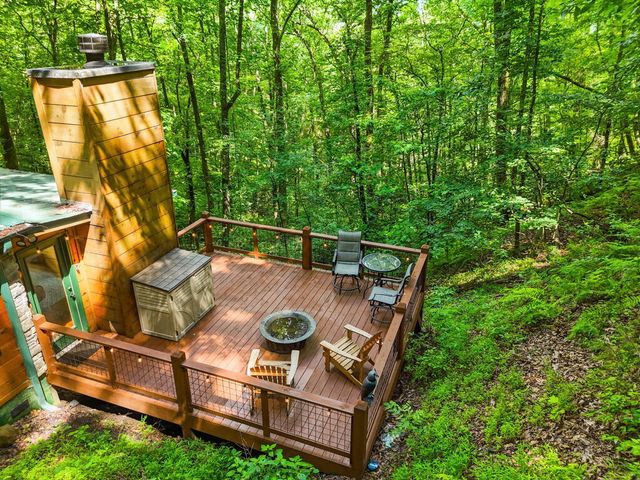 329 Laurel Ridge Drive, Blue Ridge, GA 30513