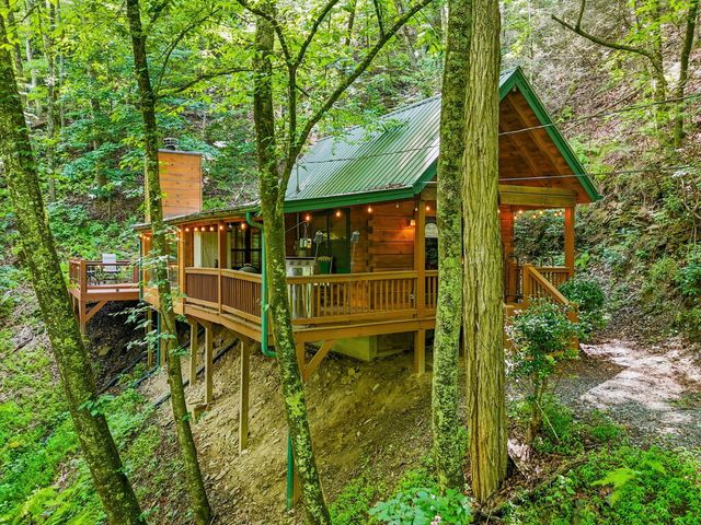 329 Laurel Ridge Drive, Blue Ridge, GA 30513