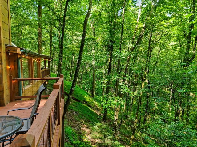 329 Laurel Ridge Drive, Blue Ridge, GA 30513
