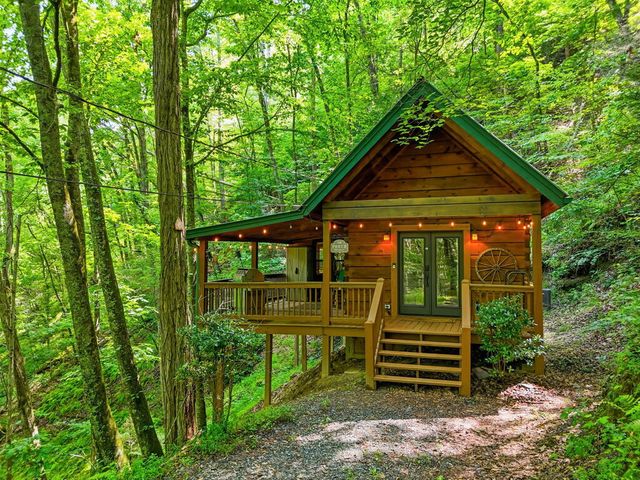 329 Laurel Ridge Drive, Blue Ridge, GA 30513