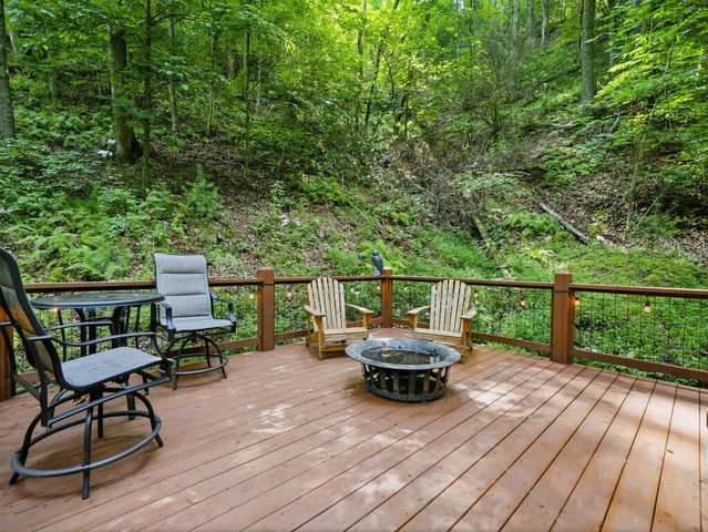 329 Laurel Ridge Drive, Blue Ridge, GA 30513