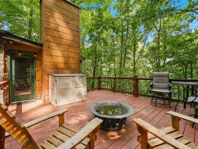 329 Laurel Ridge Drive, Blue Ridge, GA 30513
