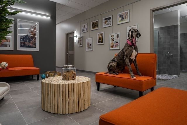 240 Devonshire St 3708, Boston, MA 02110