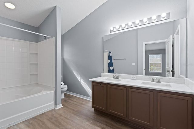 6817 BREEZY PALM DRIVE, Riverview, FL 33578