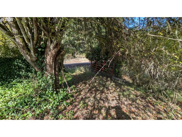 52991 STRINGTOWN Rd, Myrtle Point, OR 97458