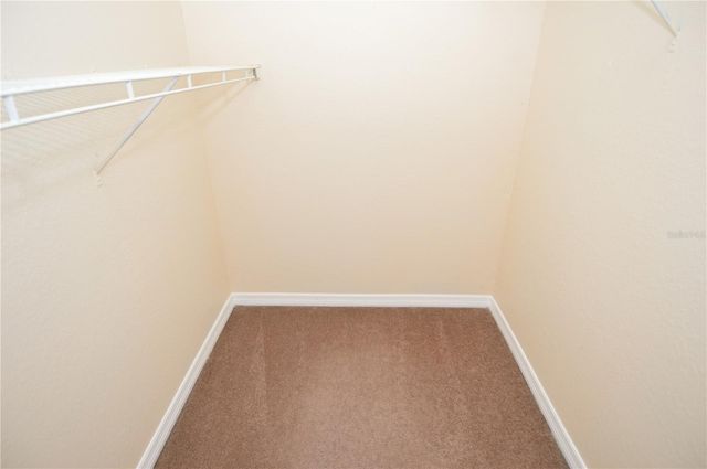 10200 GANDY BOULEVARD N 235, St Petersburg, FL 33702