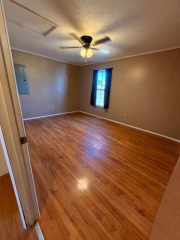 1283 Burtonville Road, Tollesboro, KY 41189