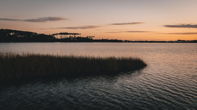 21 Mistflower Lane, Santa Rosa Beach, FL 32459