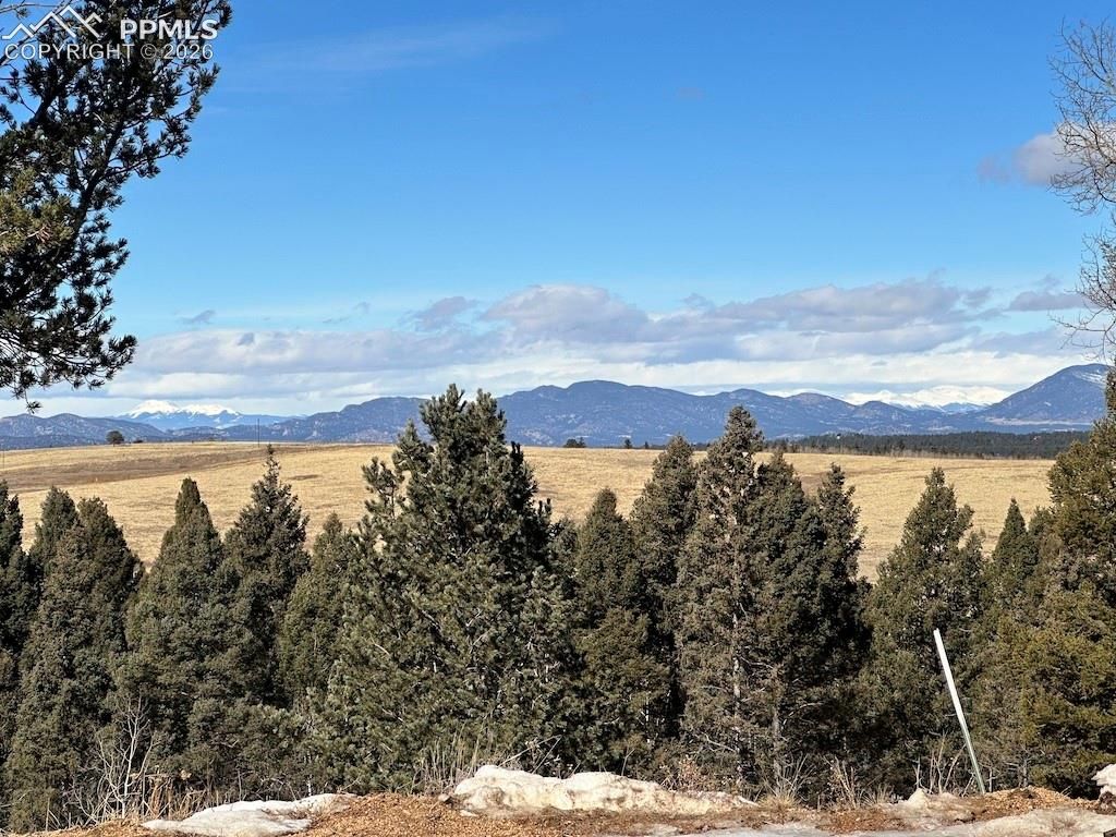 4600 Elk Valley Road, Divide, CO 80814 — exterior