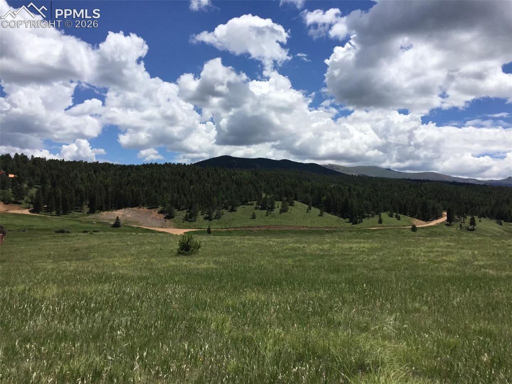 4600 Elk Valley Road, Divide, CO 80814 — photo 3