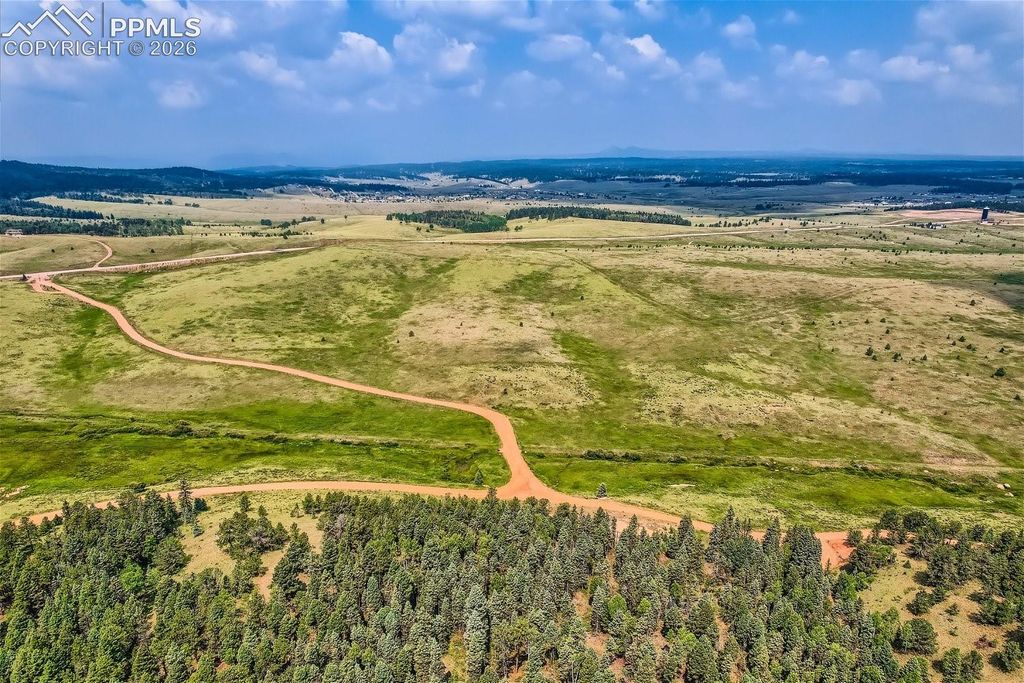 4600 Elk Valley Road, Divide, CO 80814 — photo 4