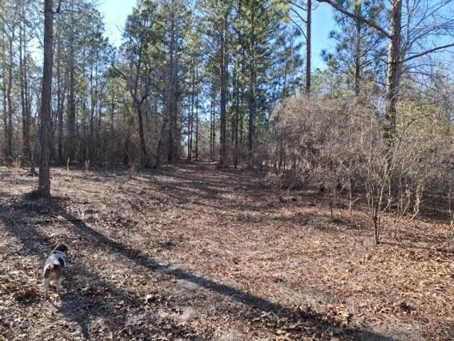 150 Log Cabin Road, Aiken, SC 29805