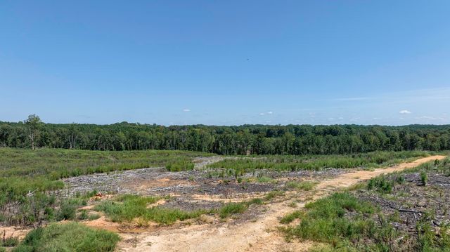 Cowens Bridge Road, Gray Court, SC 29645