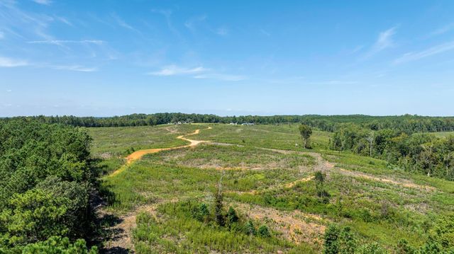 Cowens Bridge Road, Gray Court, SC 29645