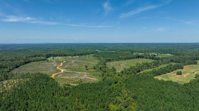 Cowens Bridge Road, Gray Court, SC 29645