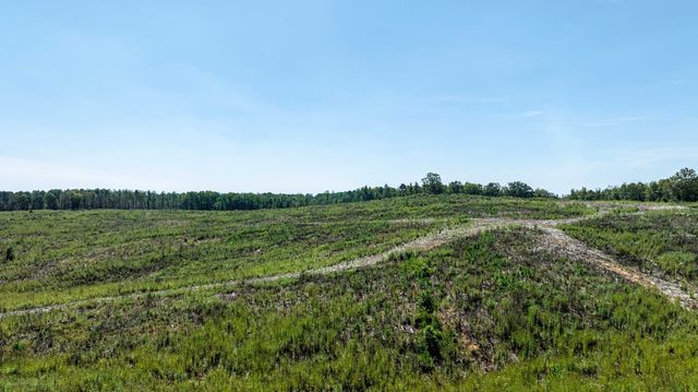 Cowens Bridge Road, Gray Court, SC 29645