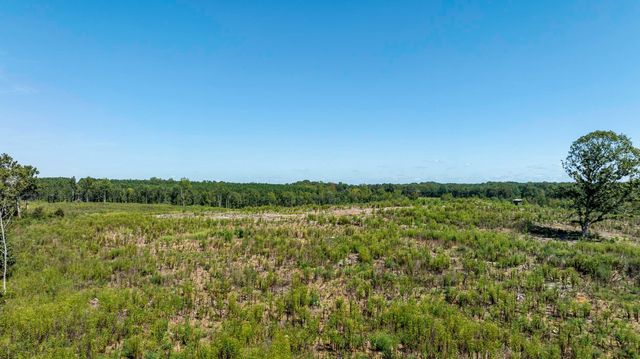 Cowens Bridge Road, Gray Court, SC 29645
