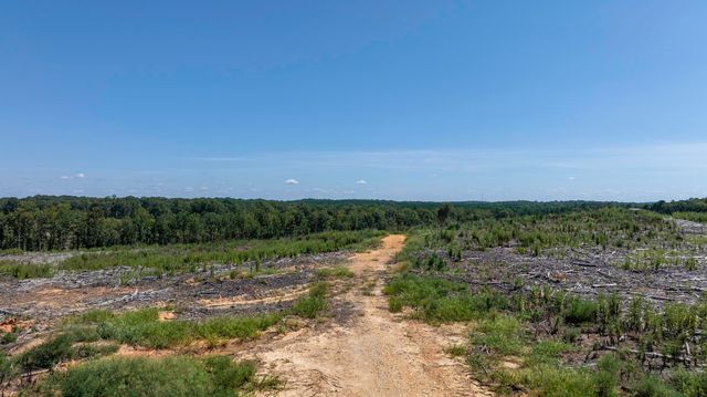 Cowens Bridge Road, Gray Court, SC 29645