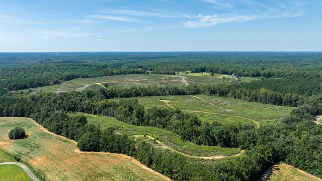 Cowens Bridge Road, Gray Court, SC 29645