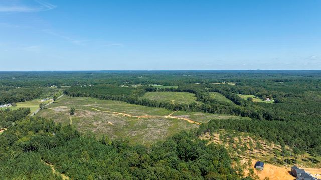Cowens Bridge Road, Gray Court, SC 29645