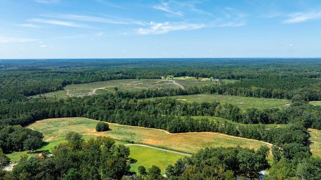 Cowens Bridge Road, Gray Court, SC 29645