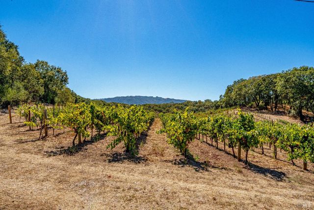 1790 Warm Springs Rd, Glen Ellen, CA 95442