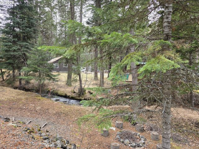 84753 TALMENA Rd, Joseph, OR 97846