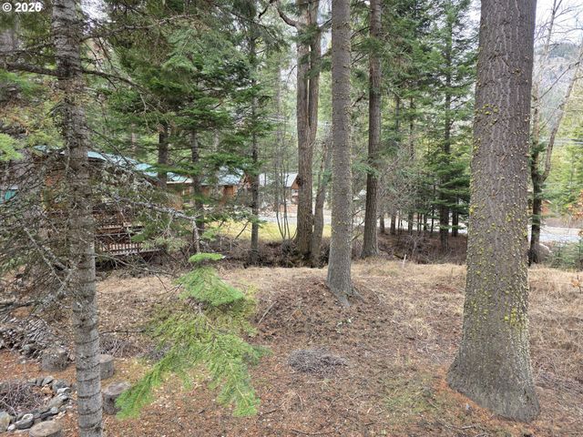 84753 TALMENA Rd, Joseph, OR 97846