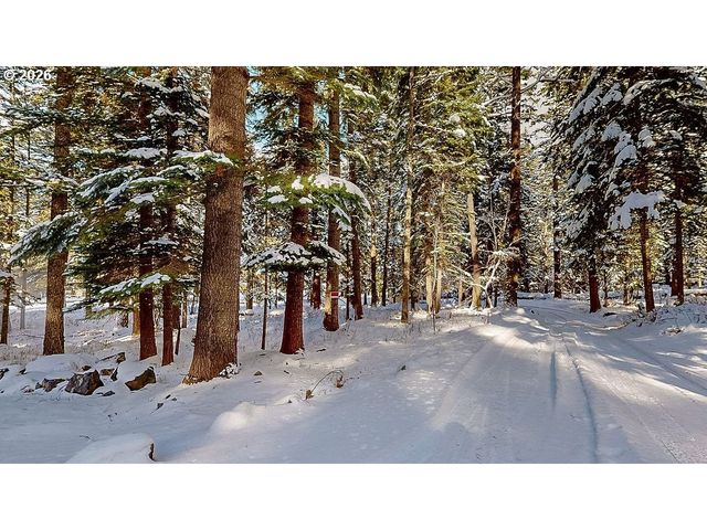 84753 TALMENA Rd, Joseph, OR 97846