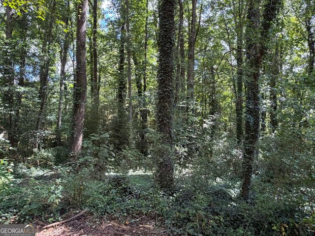 131 Meadow Ridge Drive, Stockbridge, GA 30281