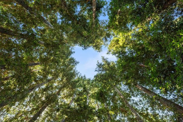 7327 Garden Hwy, Yuba City, CA 95991