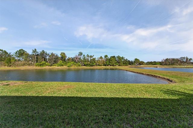 2243 OAKLEY GREEN DRIVE 29, Sun City Center, FL 33573