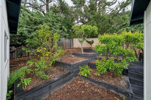 2117 Los Altos Drive, San Mateo, CA 94402