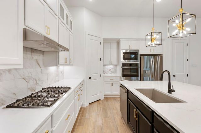 108 Salvia Star Court, Conroe, TX 77304