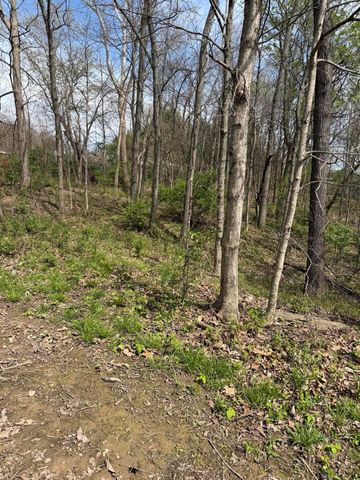 16145 Lebanon Crittenden Road, Verona, KY 41092
