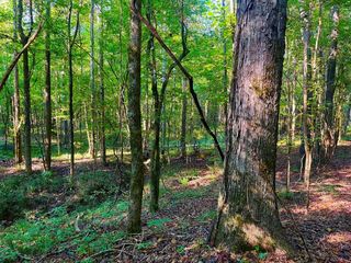 3050 James Drive, Wesson, MS 39191