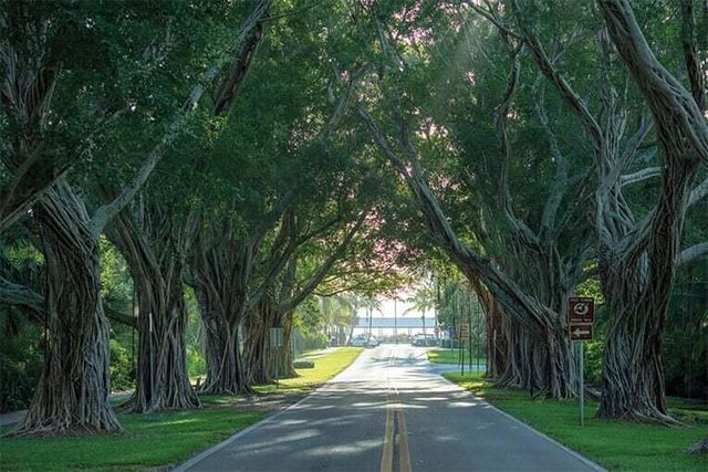 9025 SE Bridge Road A, Hobe Sound, FL 33455