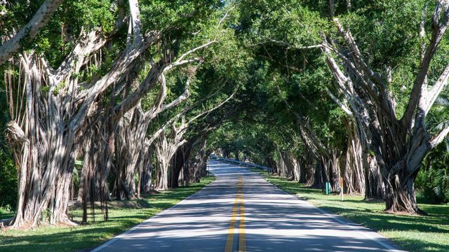 9025 SE Bridge Road A, Hobe Sound, FL 33455