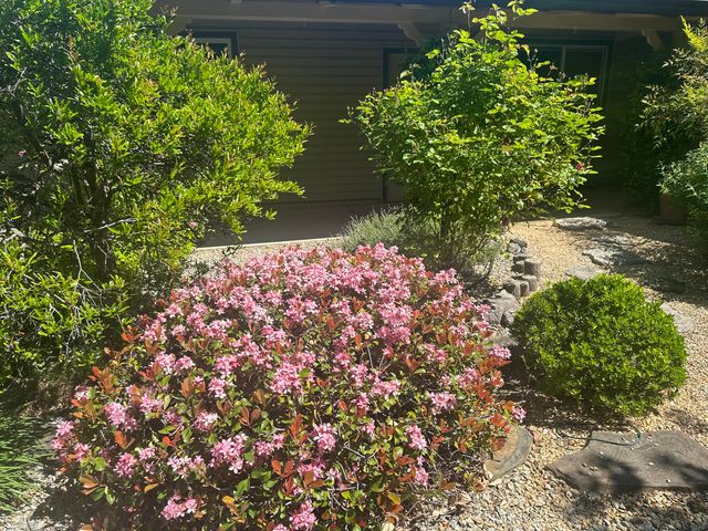 4125 Oro Street, Redding, CA 96001