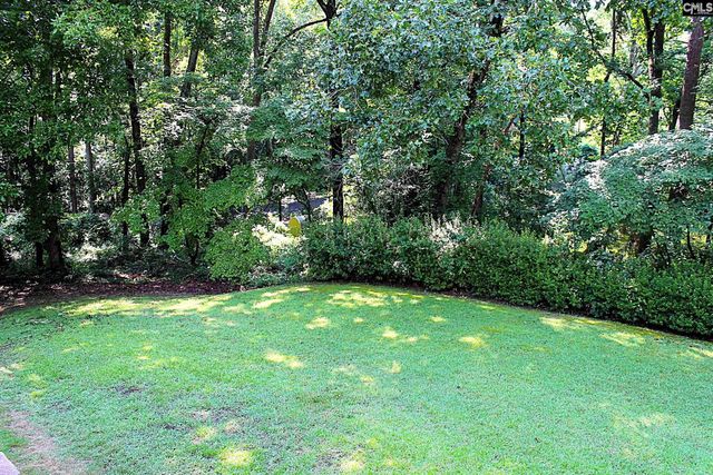 155 Pinewood Drive, Chapin, SC 29036
